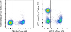 Invitrogen CD3 Monoclonal Antibody (OKT3), NovaFluor Yellow 730, eBioscience:Antibodies:Primary