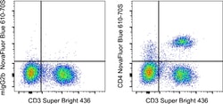 Invitrogen CD4 Monoclonal Antibody (OKT4 (OKT-4)), NovaFluor Blue 610-70S,