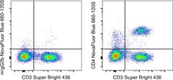 Invitrogen CD4 Monoclonal Antibody (OKT4 (OKT-4)), NovaFluor Blue 660-120S,