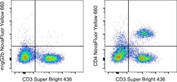 Invitrogen CD4 Monoclonal Antibody (OKT4 (OKT-4)), NovaFluor Yellow 660,