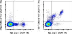 Invitrogen FceR1 alpha Monoclonal Antibody (AER-37 (CRA1)), NovaFluor Blue