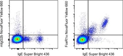 Invitrogen FceR1 alpha Monoclonal Antibody (AER-37 (CRA1)), NovaFluor Yellow