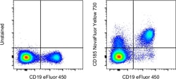 CD185 (CXCR5) Monoclonal Antibody (MU5UBEE), NovaFluor Yellow 730, eBioscience