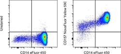 CD157 Monoclonal Antibody (eBioSY11B5 (SY11B5)), NovaFluor Yellow 590,