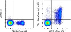 CD1c Monoclonal Antibody (L161), NovaFluor Yellow 700, eBioscience , Invitrogen:Antibodies:Primary