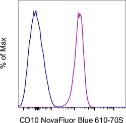 Invitrogen CD10 Monoclonal Antibody (eBioCB-CALLA (CB-CALLA)), NovaFluor