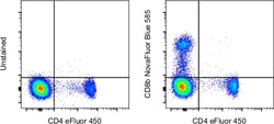 Invitrogen CD8b Monoclonal Antibody (SIDI8BEE), NovaFluor Blue 585, eBioscience