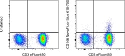 Invitrogen CD146 Monoclonal Antibody (P1H12), NovaFluor Blue 610-70S, eBioscience