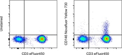 Invitrogen CD146 Monoclonal Antibody (P1H12), NovaFluor Yellow 730, eBioscience