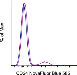 Invitrogen CD24 Monoclonal Antibody (eBioSN3 (SN3 A5-2H10)), NovaFluor