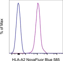 HLA-A2 Monoclonal Antibody (BB7.2), NovaFluor Blue 585, eBioscience , Invitrogen:Antibodies:Primary
