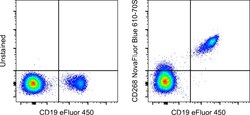 CD268 (BAFF Receptor) Monoclonal Antibody (8A7), NovaFluor&trade; Blue 610-70S, eBioscience&trade;, Invitrogen&trade;