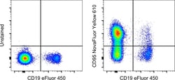 CD95 (APO-1/Fas) Monoclonal Antibody (DX2), NovaFluor&trade; Yellow 610, eBioscience&trade;, Invitrogen&trade;