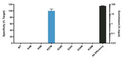 Invitrogen H3.3 K27M oncohistone mutant Recombinant Rabbit Monoclonal Antibody