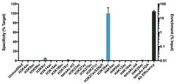 Invitrogen H3K36ac Recombinant Rabbit Monoclonal Antibody (RM154), ChIP-Verified