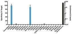 Invitrogen H3K4ac Recombinant Rabbit Monoclonal Antibody (RM149), ChIP-Verified