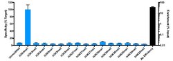 Invitrogen H3K4me1 Recombinant Superclonal Antibody, ChIP-Verified:Antibodies:Primary