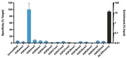 Invitrogen H3K4me2 Polyclonal Antibody, ChIP-Verified 100 &mu;L; Unconjugated:Antibodies,