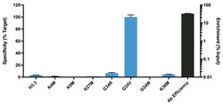 Invitrogen H3.3 G34V oncohistone mutant Recombinant Rabbit Monoclonal Antibody (RM307), ChIP-Verified 100 &mu;L | Buy Online | Invitrogen&trade; | Fisher Scientific