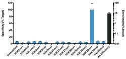 Invitrogen H4K20me1 Monoclonal Antibody (5E10-D8), ChIP-Verified 20 &mu;g;