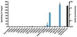 Invitrogen H4K5ac Recombinant Rabbit Monoclonal Antibody (SR31-07), ChIP-Verified:Antibodies:Primary