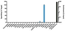 Invitrogen H4K8ac Recombinant Rabbit Monoclonal Antibody (8H5L4), ChIP-Verified 100 &mu;g | Buy Online | Invitrogen&trade; | Fisher Scientific