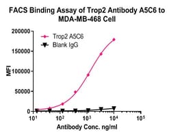 TROP2 Recombinant Mouse Monoclonal Antibody (A5C6), Huabio 100 &mu;L; Unconjugated:Antibodies,
