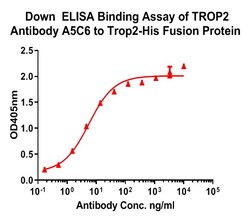 TROP2 Recombinant Mouse Monoclonal Antibody (A5C6), Huabio 100 &mu;L; Unconjugated:Antibodies,