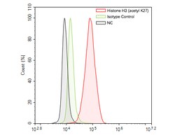 Histone H3 (acetyl K27) Monoclonal Antibody (A6D6), Huabio 100 &mu;L; Unconjugated:Antibodies,