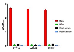 BSA Monoclonal Antibody (A7D10), Huabio 100 &mu;L; Unconjugated:Antibodies,