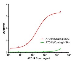 BSA Monoclonal Antibody (A7D11), Huabio 100 &mu;L; Unconjugated:Antibodies,