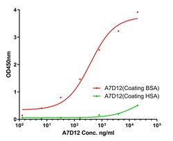 BSA Monoclonal Antibody (A7D12), Huabio 100 &mu;L; Unconjugated:Antibodies,