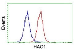 HAO1 Monoclonal Antibody (OTI5F4), TrueMAB , OriGene 100 &mu;L; Unconjugated:Antibodies,