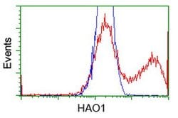 HAO1 Mouse anti-Canine, Human, Rat, Clone: OTI5C3, lyophilized, TrueMAB