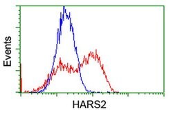 HARS2 Monoclonal Antibody (OTI2D6), TrueMAB , OriGene 30 &mu;L; Unconjugated:Antibodies,