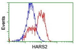 HARS2 Monoclonal Antibody (OTI5H2), TrueMAB , OriGene 100 &mu;L; Unconjugated:Antibodies,