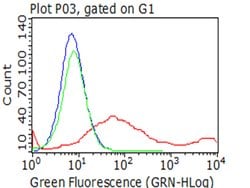 HAVCR2 Monoclonal Antibody (OTI2E11), TrueMAB , OriGene:Antibodies:Primary