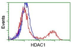 HDAC1 Monoclonal Antibody (OTI2E9), TrueMAB , OriGene 30 &mu;L; Unconjugated:Antibodies,