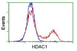 HDAC1 Mouse anti-Canine, Human, Mouse, Rat, Clone: OTI5F9, lyophilized,
