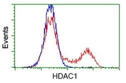 HDAC1 Monoclonal Antibody (OTI5F9), TrueMAB , OriGene 30 &mu;L; Unconjugated:Antibodies,