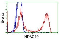 HDAC10 Mouse anti-Human, Clone: OTI1B1, lyophilized, TrueMAB 100 &mu;g;