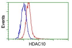 HDAC10 Mouse anti-Human, Clone: OTI5E2, liquid, TrueMAB 100 &mu;L; Unconjugated:Antibodies,