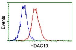 HDAC10 Mouse anti-Human, Clone: OTI5E2, liquid, TrueMAB 100 &mu;L; Unconjugated:Antibodies,