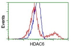 HDAC6 Mouse anti-Canine, Human, Rat, Clone: OTI1D11, liquid, TrueMAB 100