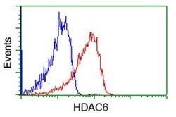 HDAC6 Mouse anti-Canine, Human, Rat, Clone: OTI1D11, liquid, TrueMAB 100