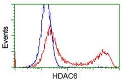 HDAC6 Mouse anti-Human, Clone: OTI3G7, lyophilized, TrueMAB 100 &mu;g;