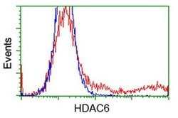 HDAC6 Monoclonal Antibody (OTI3F9), TrueMAB , OriGene 30 &mu;L; Unconjugated:Antibodies,