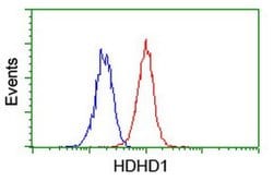 HDHD1 Monoclonal Antibody (OTI7A2), TrueMAB , OriGene 100 &mu;L; Unconjugated:Antibodies,