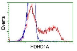 HDHD1 Mouse anti-Human, Clone: OTI3E5, lyophilized, TrueMAB 100 &mu;g;