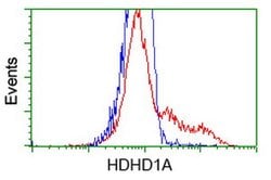 HDHD1 Mouse anti-Canine, Human, Rat, Clone: OTI2E10, lyophilized, TrueMAB